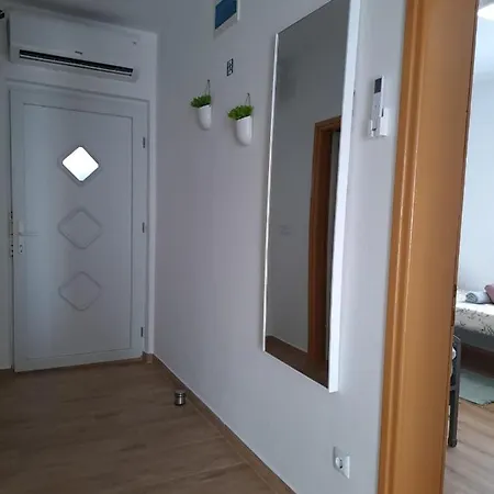Zubak *
