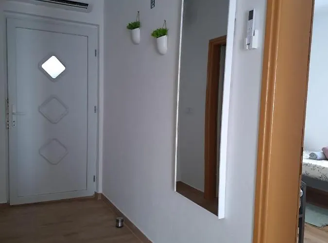 Zubak *